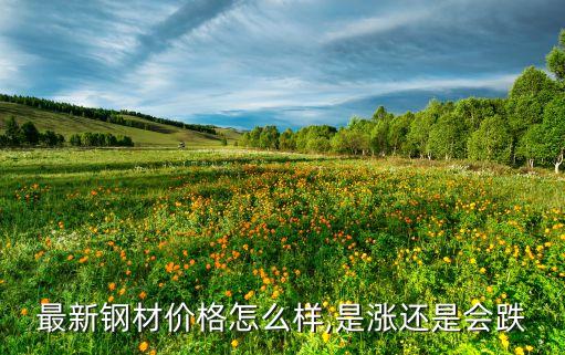 最新钢材价格怎么样,是涨还是会跌