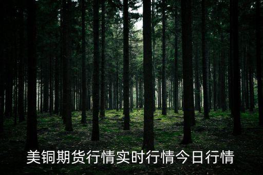 美铜期货行情实时行情今日行情