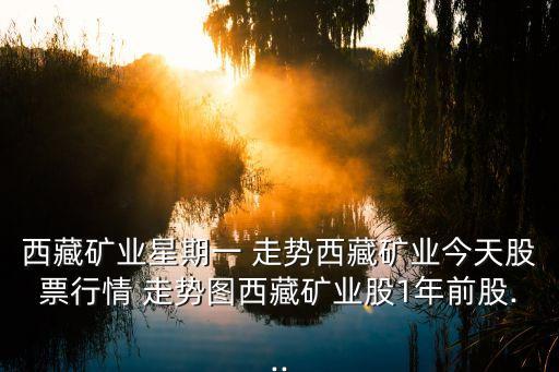 西藏矿业星期一 走势西藏矿业今天股票行情 走势图西藏矿业股1年前股...