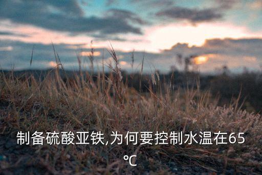 制备硫酸亚铁,为何要控制水温在65℃