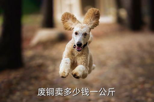 废铜卖多少钱一公斤