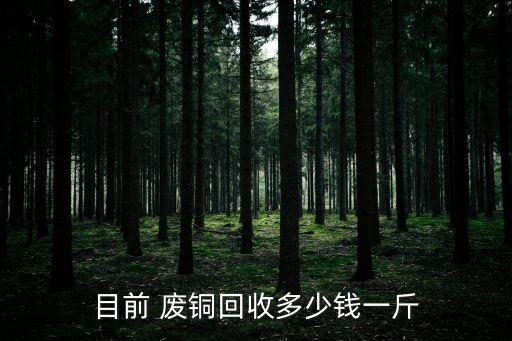 目前 废铜回收多少钱一斤
