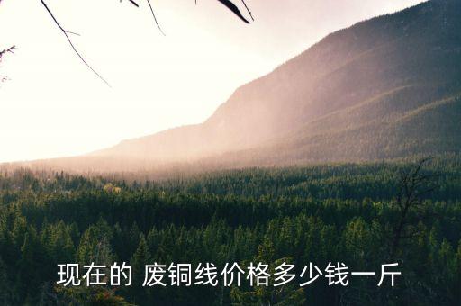 现在的 废铜线价格多少钱一斤