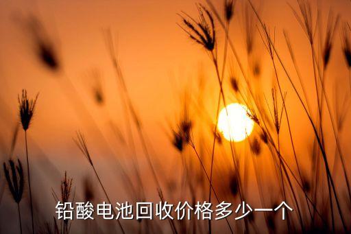铅酸电池回收价格多少一个