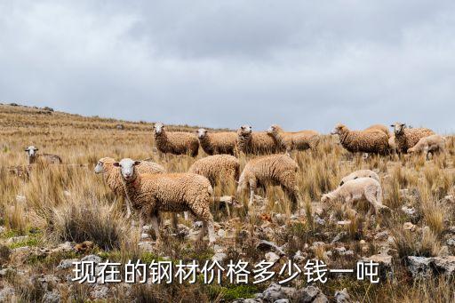 矽钢废品价格