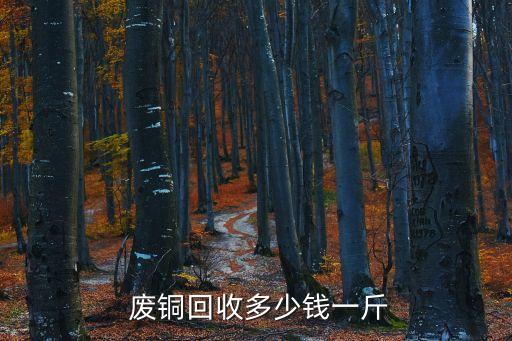  废铜回收多少钱一斤