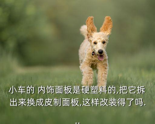 汽车内饰pet废料