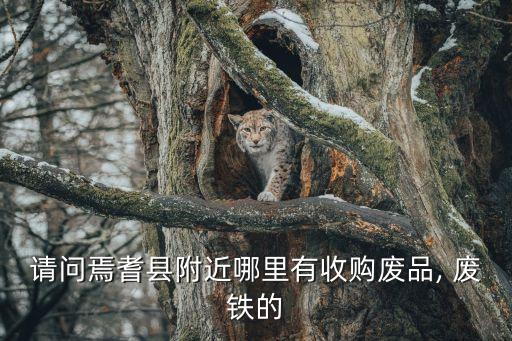 请问焉耆县附近哪里有收购废品, 废铁的