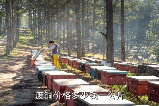  废铜价格多少钱一公斤