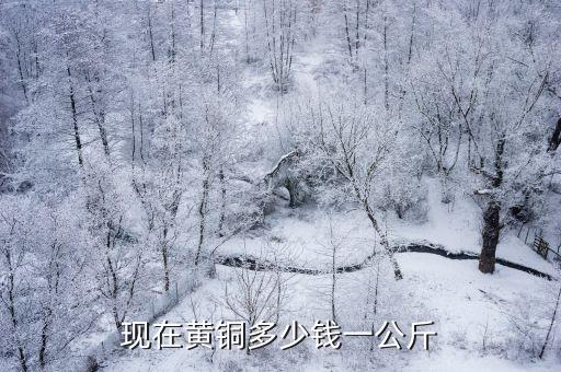 现在黄铜多少钱一公斤