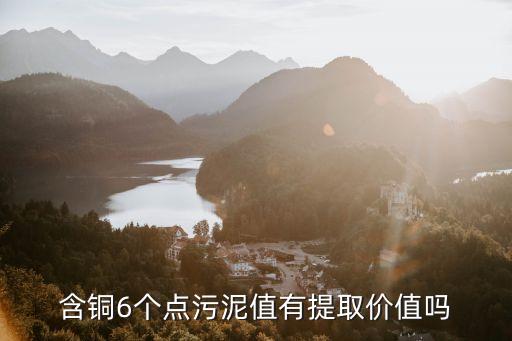 含铜6个点污泥值有提取价值吗