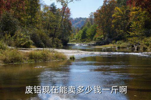  废铝现在能卖多少钱一斤啊