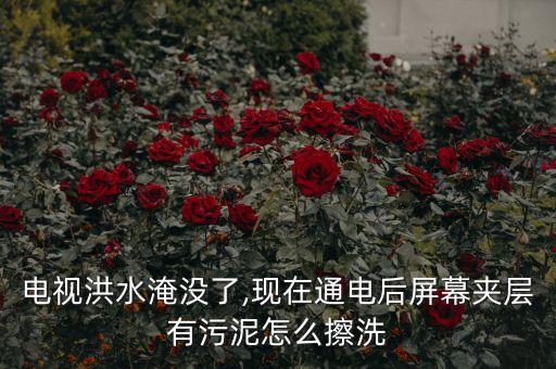 电视洪水淹没了,现在通电后屏幕夹层有污泥怎么擦洗