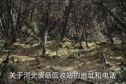 关于河北废品回收站的地址和电话