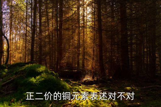 正二价的铜元素表述对不对