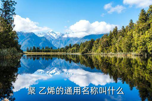 聚 乙烯的通用名称叫什么