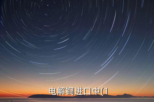  电解铜进口中(1