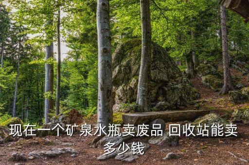 现在一个矿泉水瓶卖废品 回收站能卖多少钱