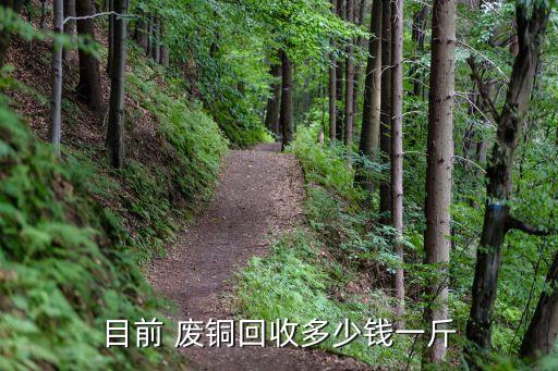 目前 废铜回收多少钱一斤