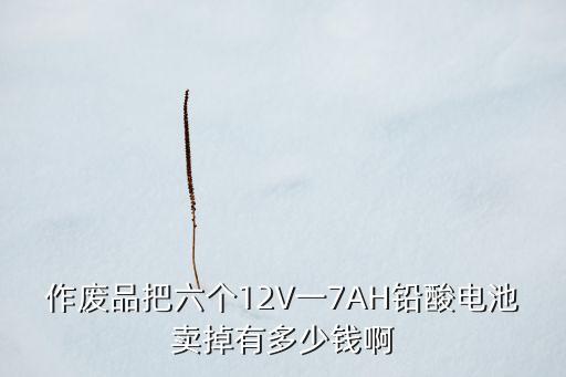 作废品把六个12V一7AH铅酸电池卖掉有多少钱啊