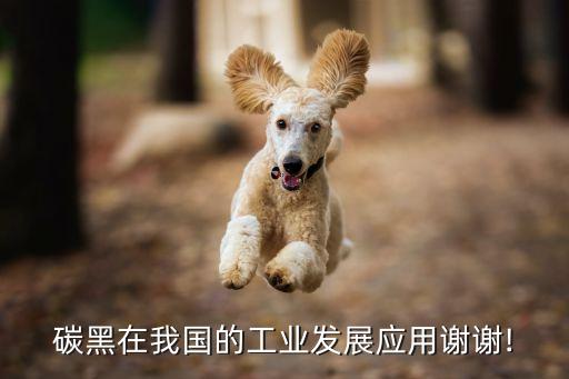 碳黑在我国的工业发展应用谢谢!