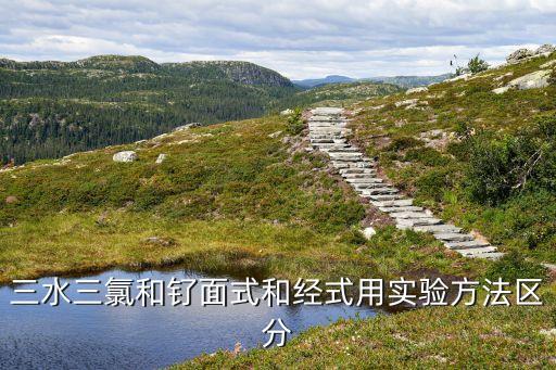 三水三氯和钌面式和经式用实验方法区分