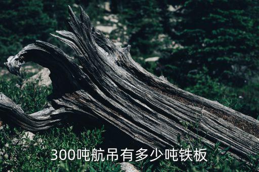 300吨航吊有多少吨铁板