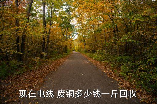 现在电线 废铜多少钱一斤回收