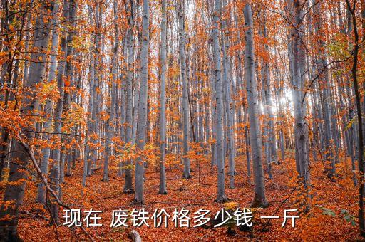 废铁多少钱一斤,不锈钢废铁多少钱一斤