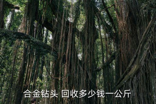 合金钻头 回收多少钱一公斤