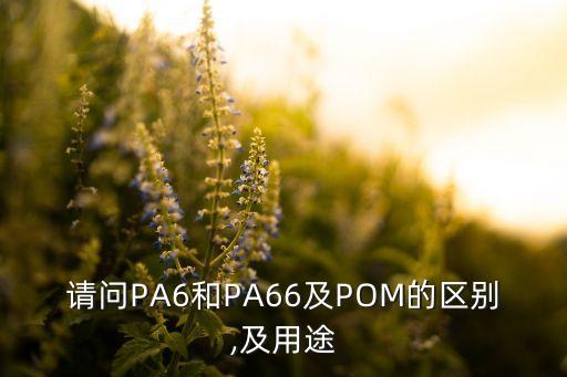请问PA6和PA66及POM的区别,及用途