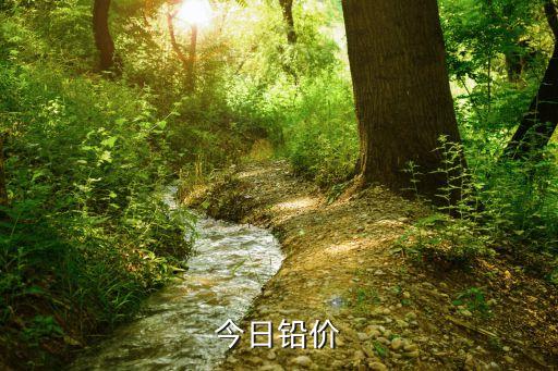 今日铅价