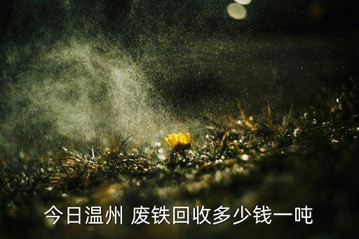 今日温州 废铁回收多少钱一吨