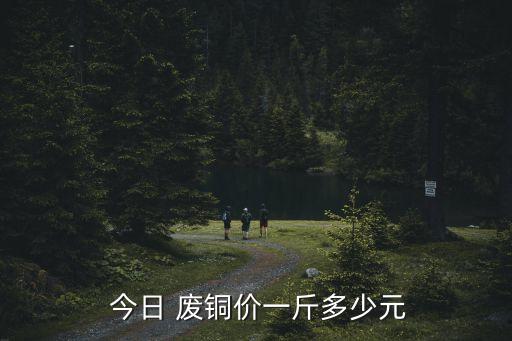 广东南海今日废铜价格,南海废铜最新价格