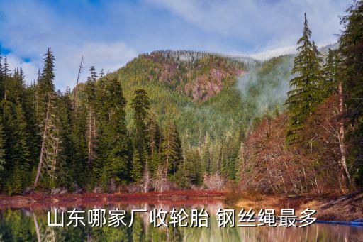 山东哪家厂收轮胎 钢丝绳最多