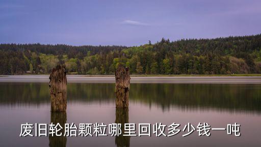 废旧轮胎颗粒哪里回收多少钱一吨