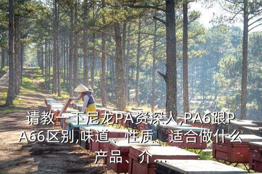 请教一下尼龙PA资深人,PA6跟PA66区别,味道、性质、适合做什么产品、介...