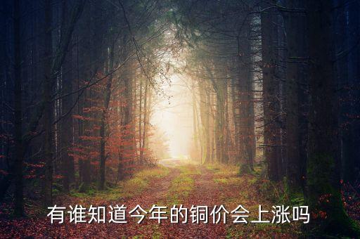 有谁知道今年的铜价会上涨吗