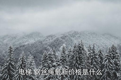 电梯 钢丝绳最新价格是什么