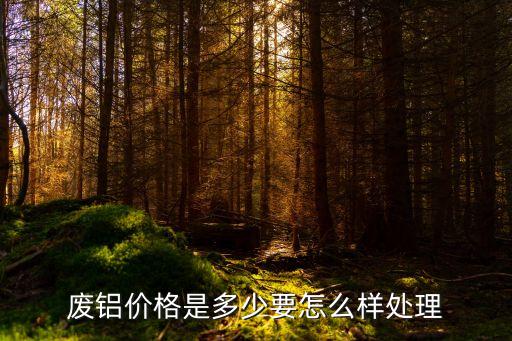 废铝价格是多少要怎么样处理