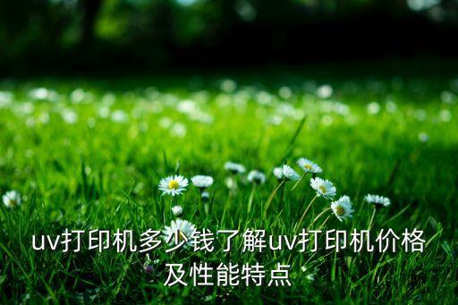 uv打印机多少钱了解uv打印机价格及性能特点