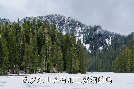 武汉东山头有加工费钢的吗