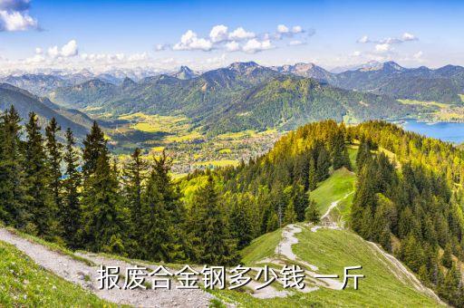 报废合金钢多少钱 一斤