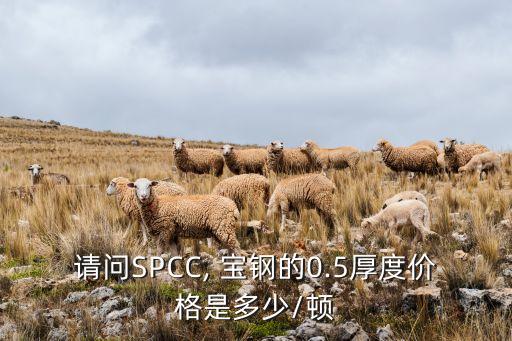 请问SPCC, 宝钢的0.5厚度价格是多少/顿