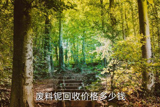  废料铌回收价格多少钱