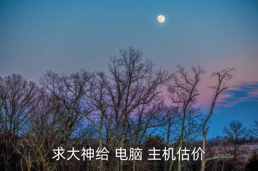 求大神给 电脑 主机估价