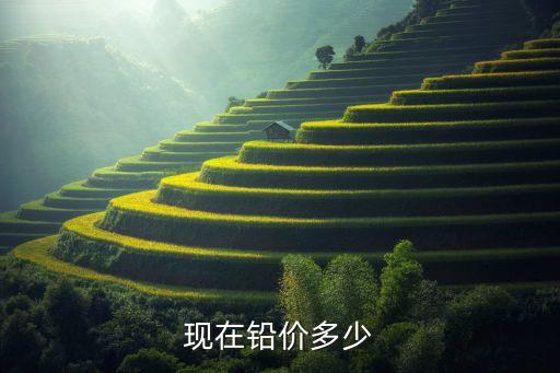 现在铅价多少
