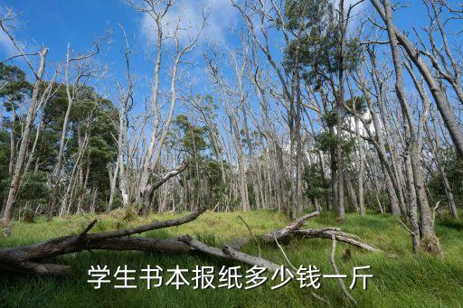 学生书本报纸多少钱一斤