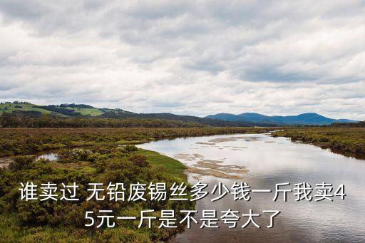 谁卖过 无铅废锡丝多少钱一斤我卖45元一斤是不是夸大了