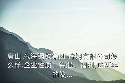 唐山 东海钢铁集团 特钢有限公司怎么样,企业性质、待遇、福利,这两年的发...